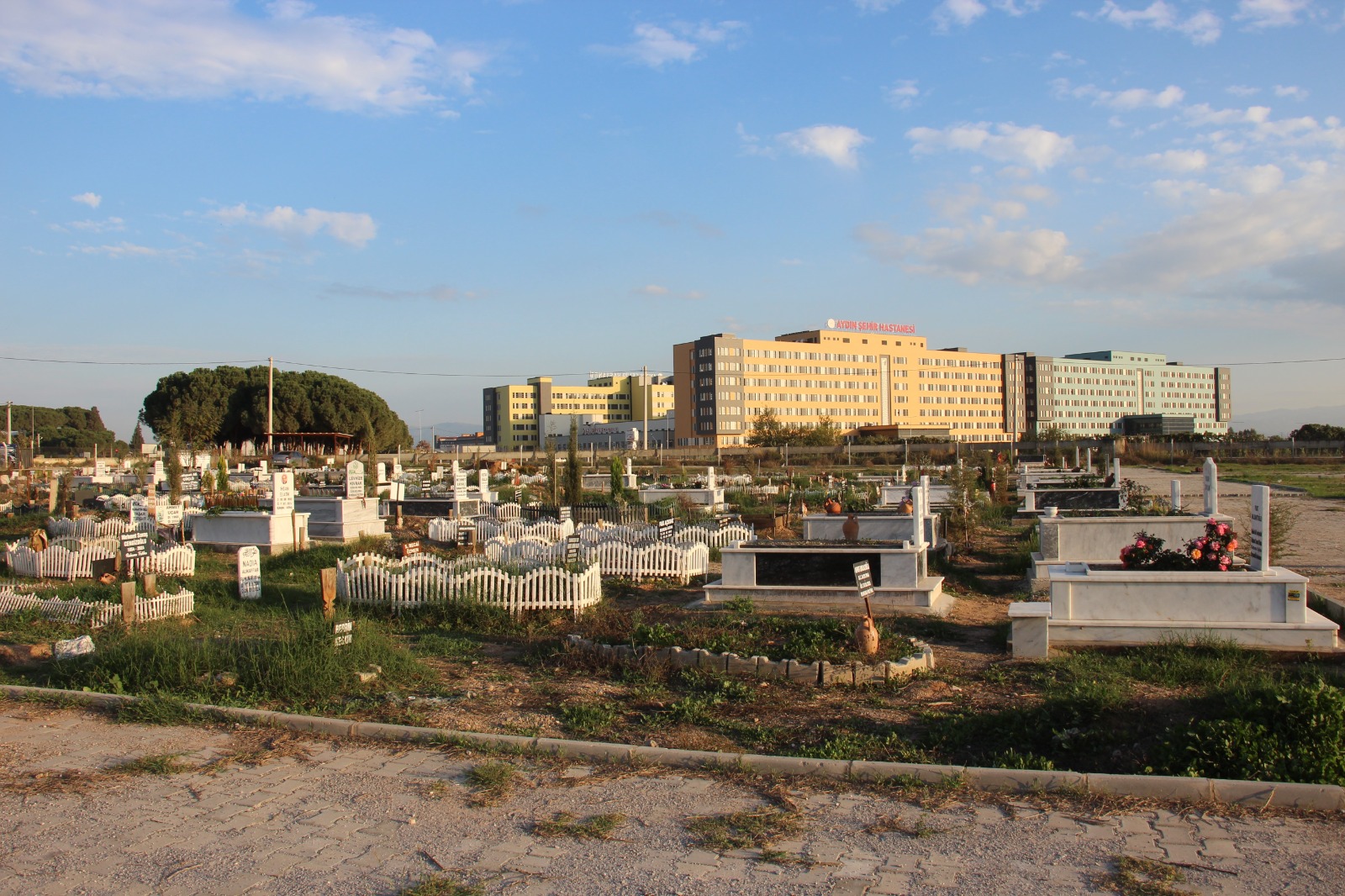 Whatsapp Image 2025 11 11 At 17.16.37 (1)