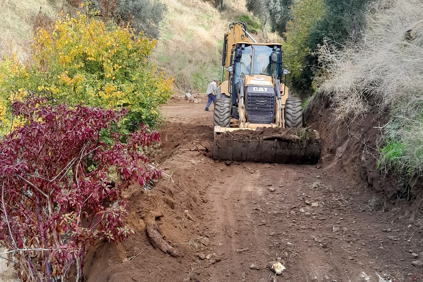 Whatsapp Image 2025 11 25 At 10.27.44 (1)