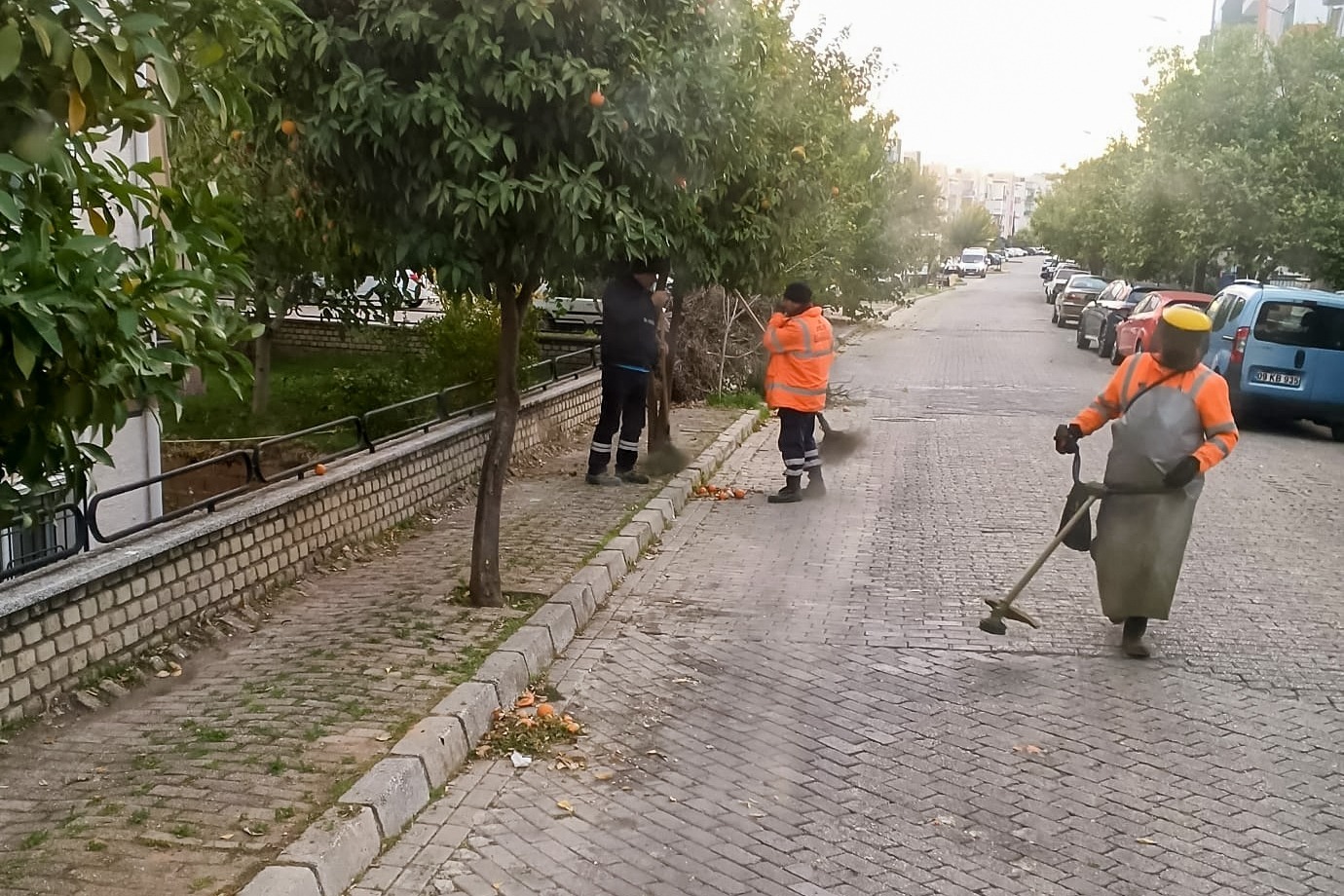 Whatsapp Image 2025 11 27 At 09.46.31 (3)