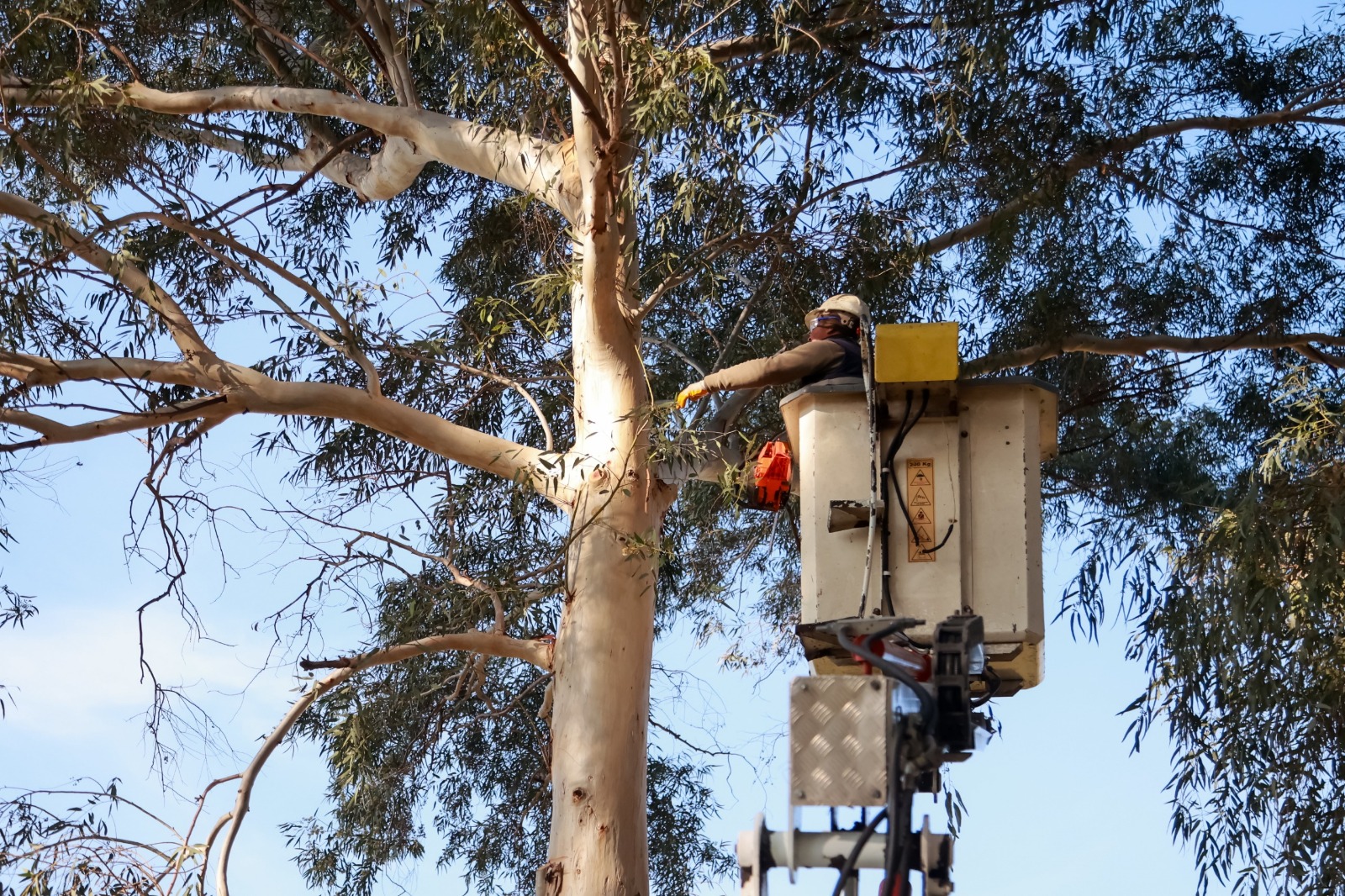 21Da6973 12Cb 442F 9Dfb 3Af14F47Aa28