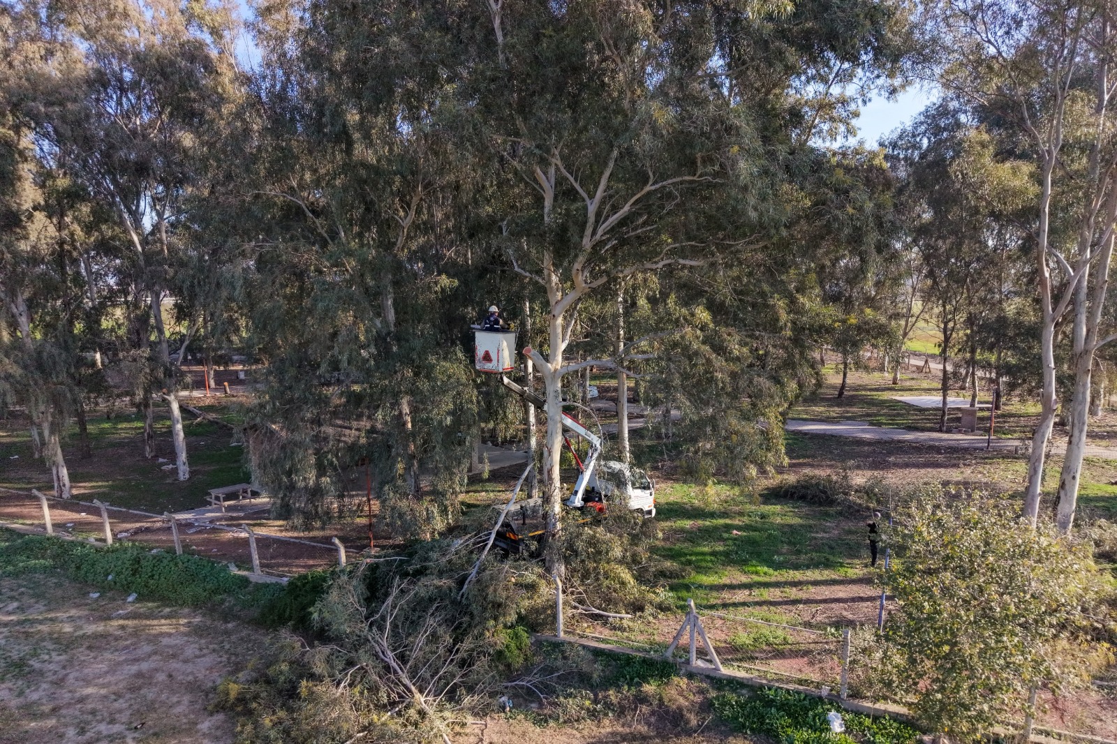 4Ef3889E 981B 4495 87Da E755B134A0Ad