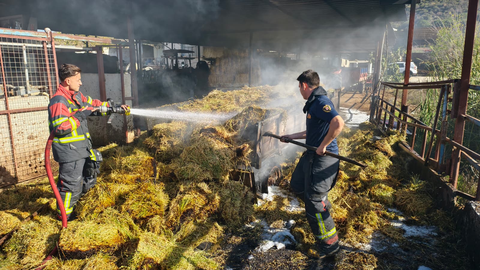 6Caa7704 1A28 44B2 917E 0Bafe1A6A2D4