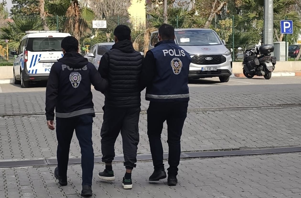 C2E6A0Cc 4103 4580 97A7 Bebb428C6B53