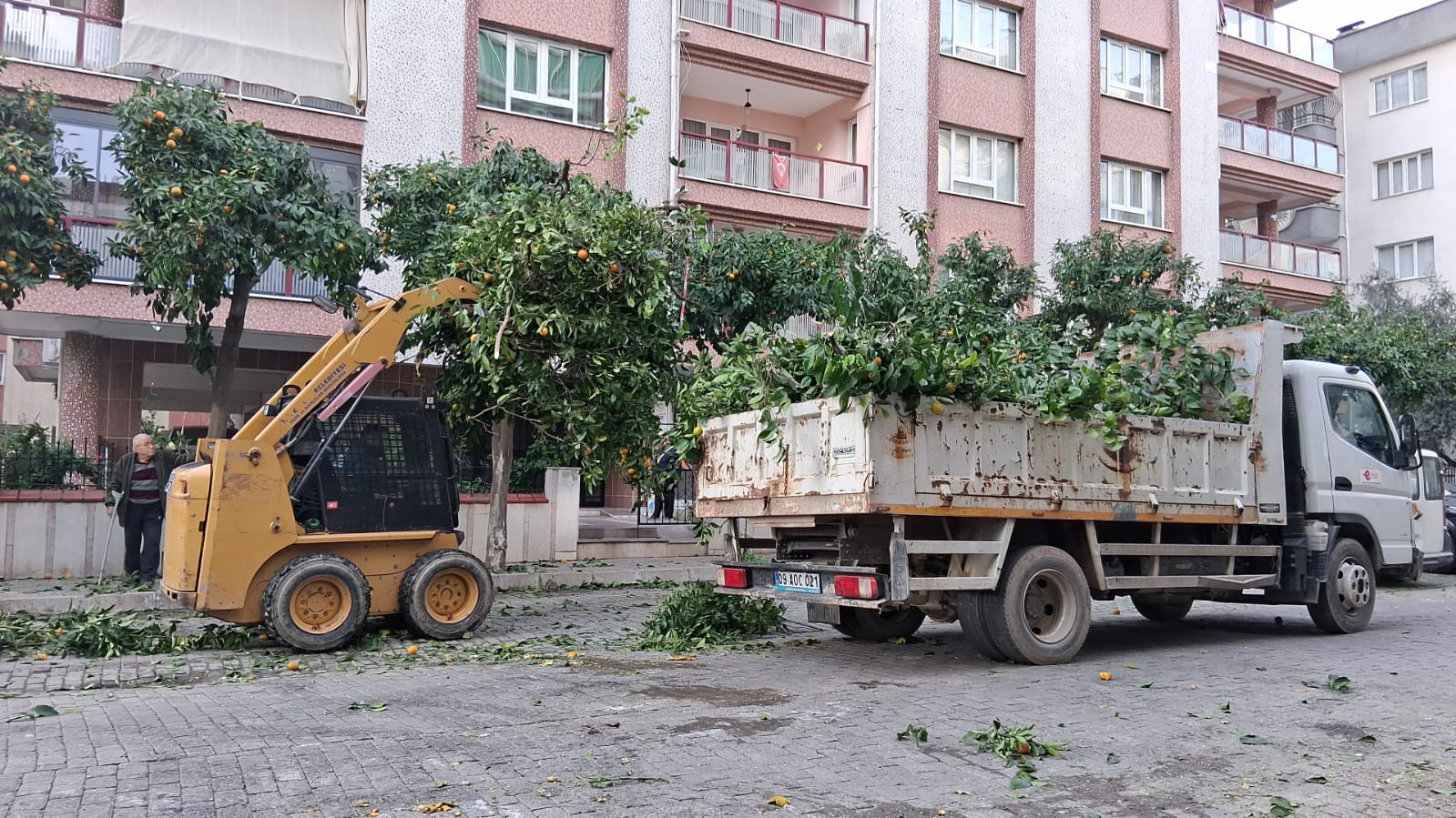 I M G 20251205 W A0004