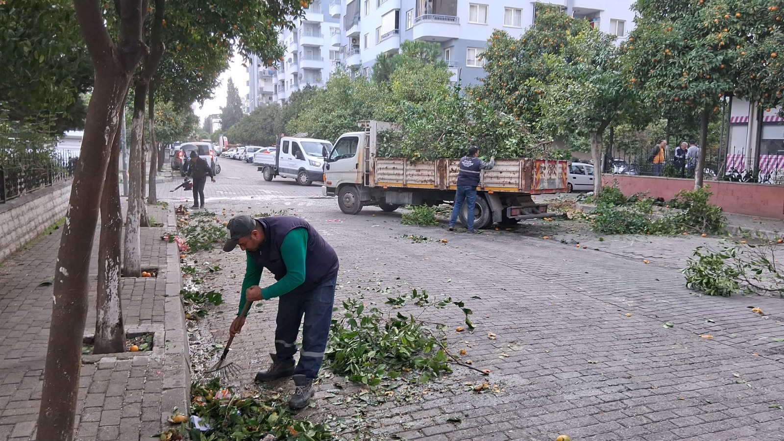 I M G 20251205 W A0005