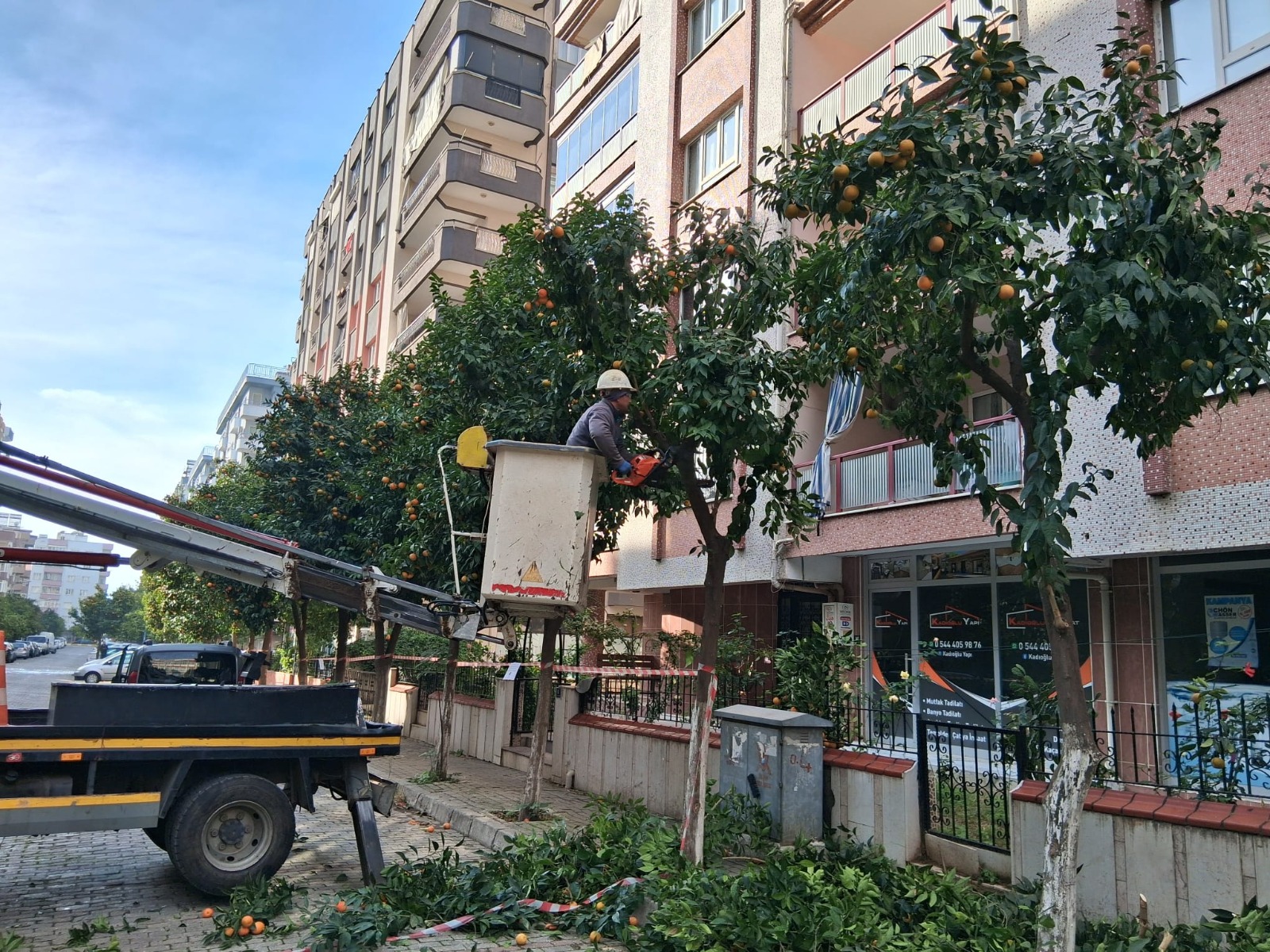 I M G 20251205 W A0006