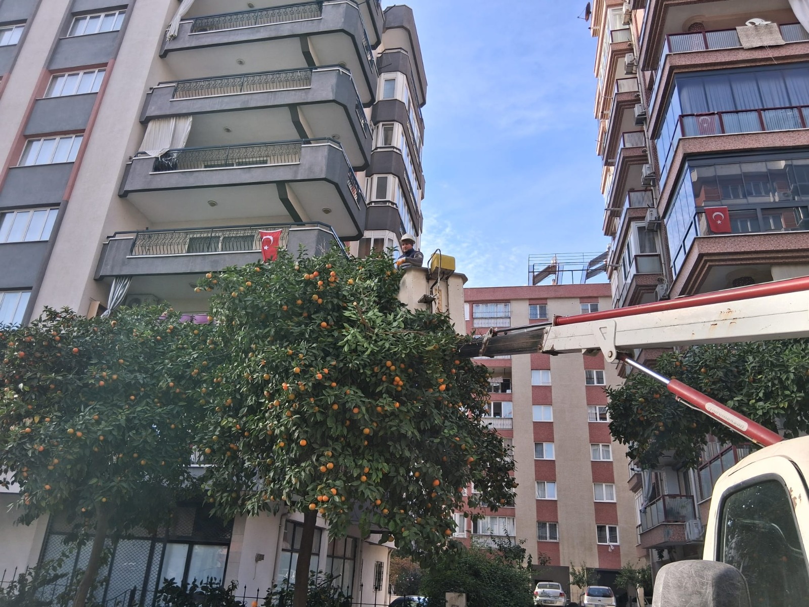 I M G 20251205 W A0007