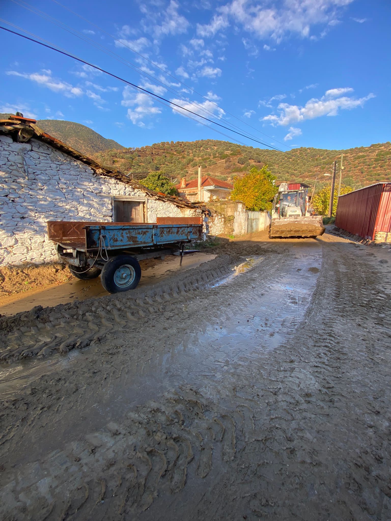 I M G 20251208 W A0028