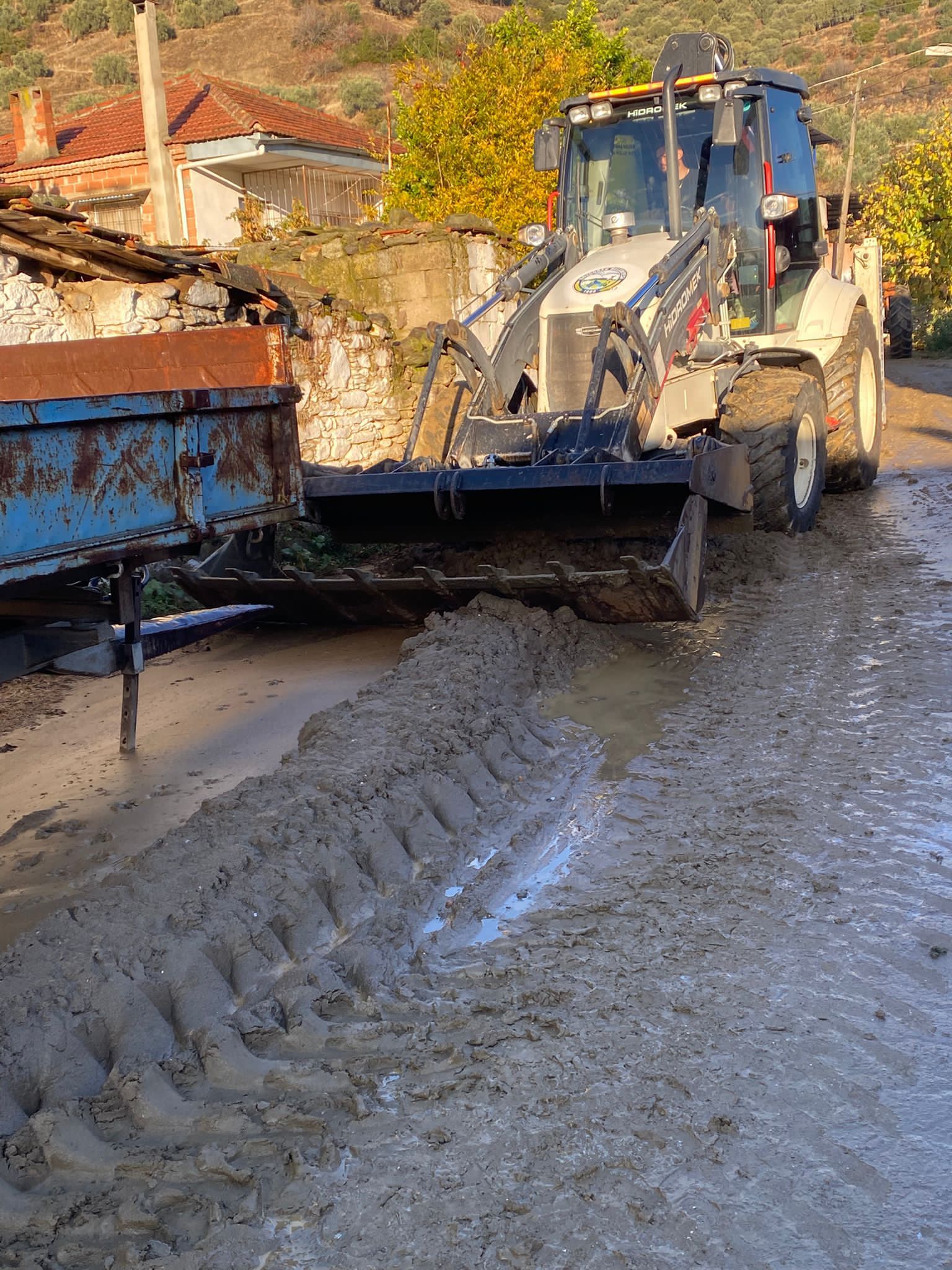 I M G 20251208 W A0030