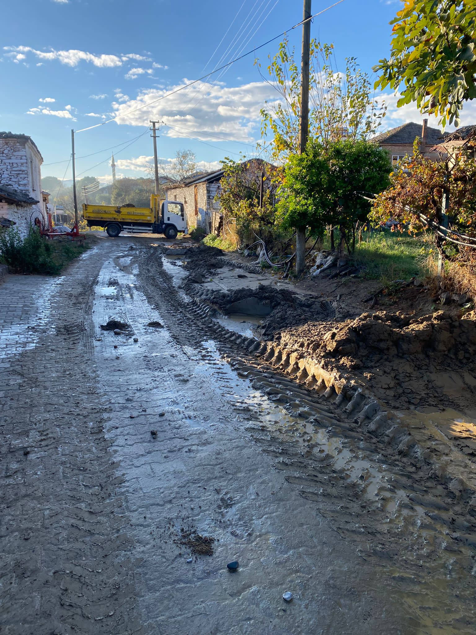 I M G 20251208 W A0031