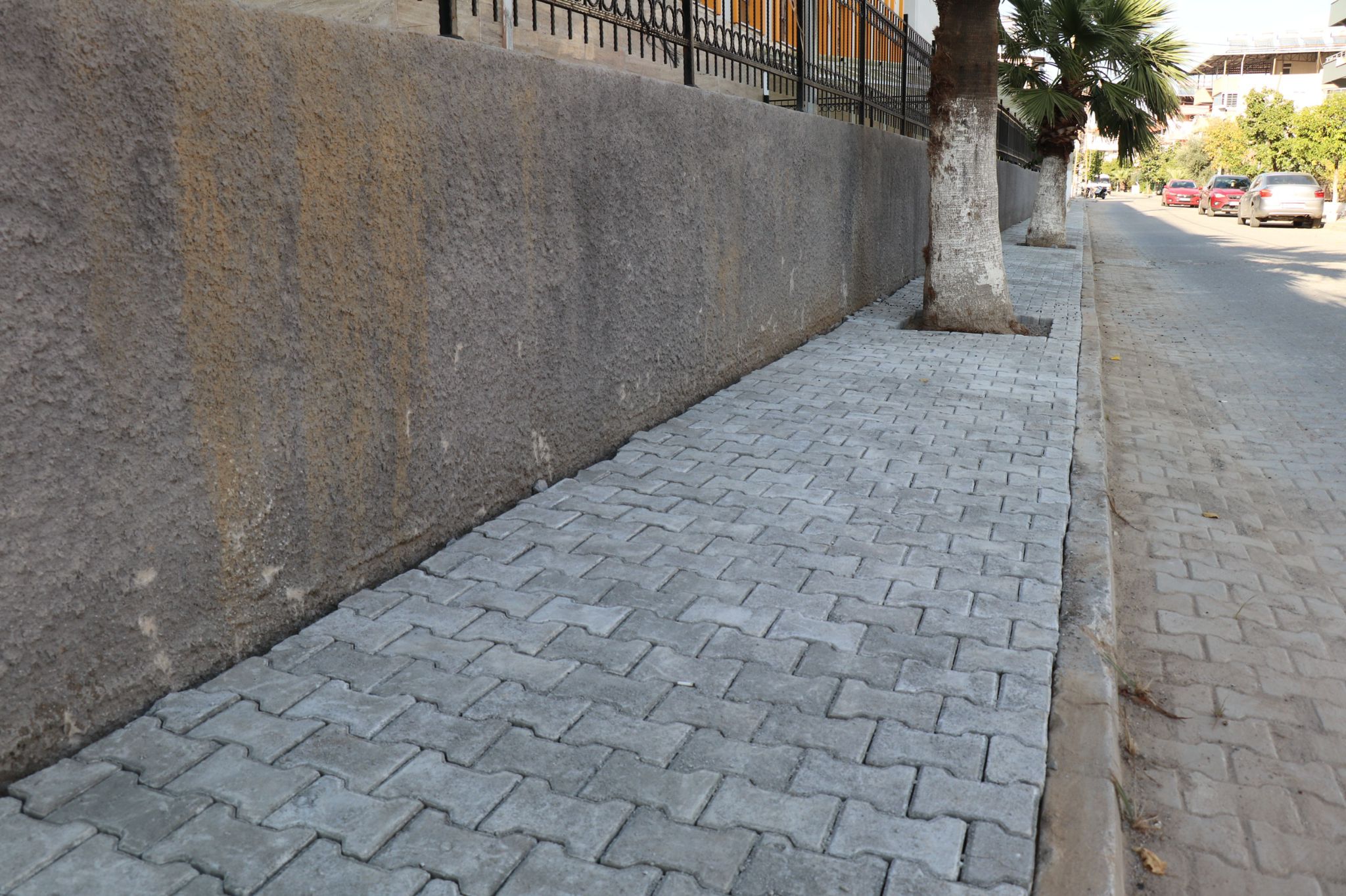 Whatsapp Image 2025 12 01 At 15.25.50