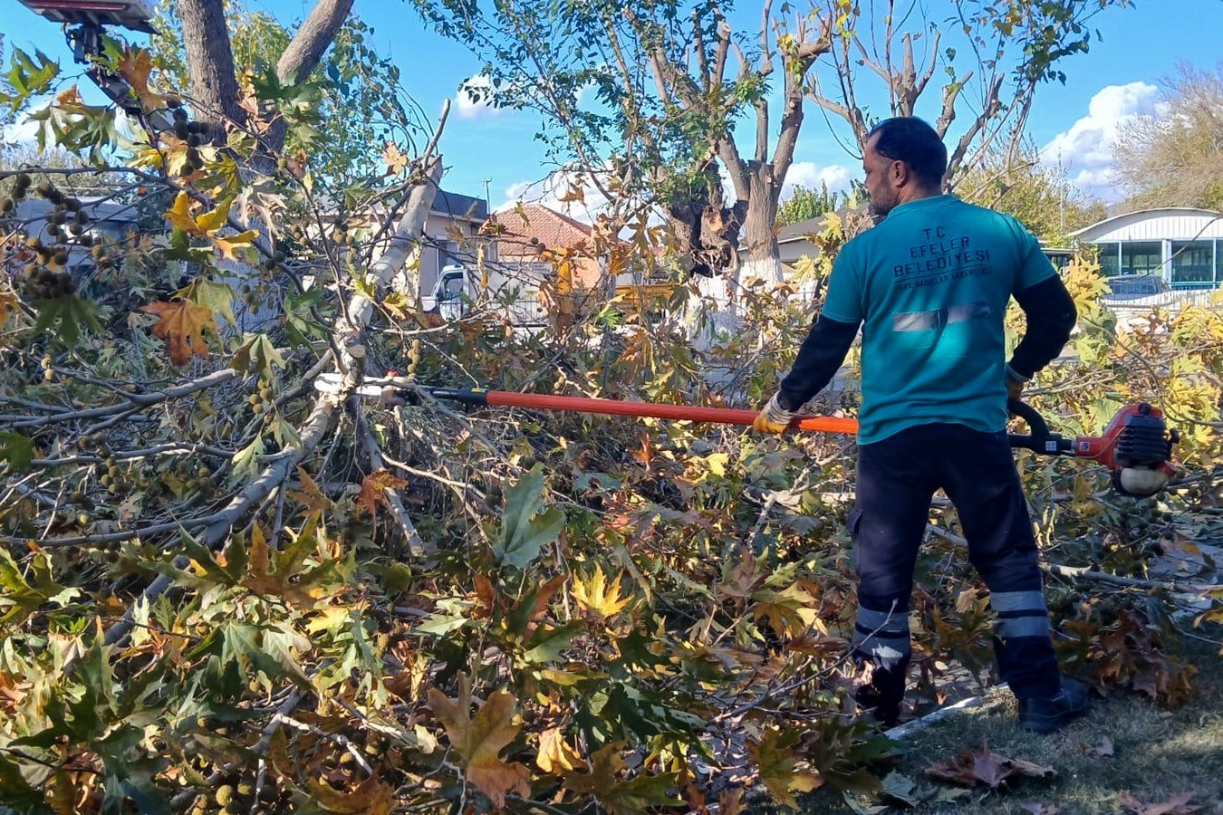 Whatsapp Image 2025 12 02 At 10.45.26