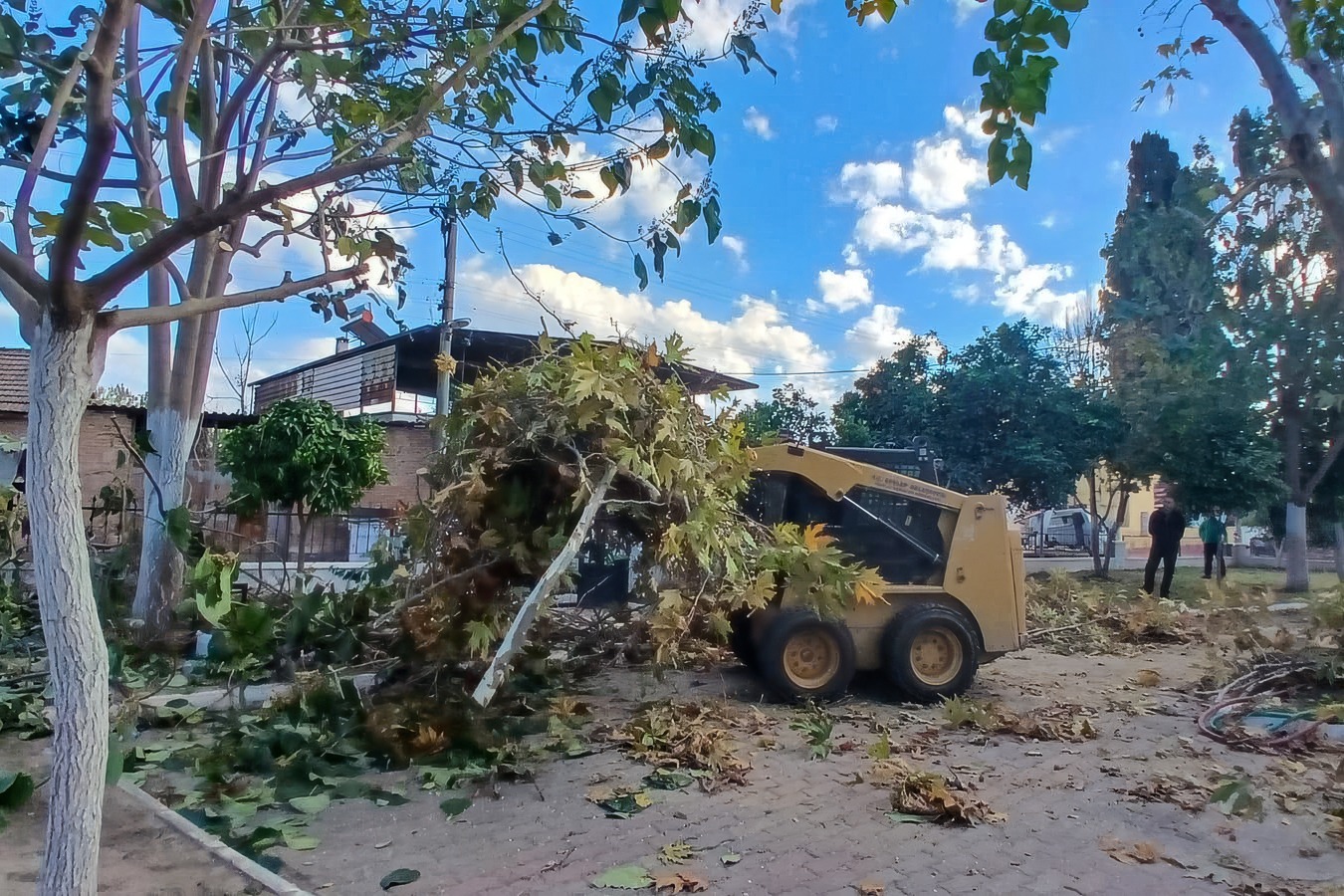 Whatsapp Image 2025 12 02 At 10.45.27 (1)