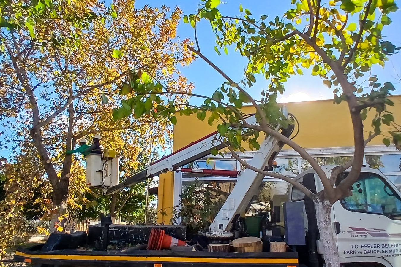 Whatsapp Image 2025 12 02 At 10.45.27 (2)