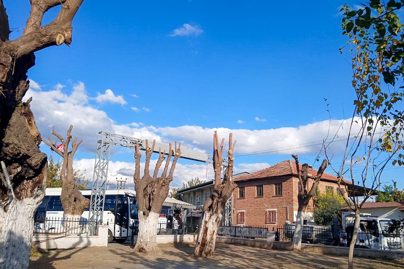 Whatsapp Image 2025 12 02 At 10.45.27