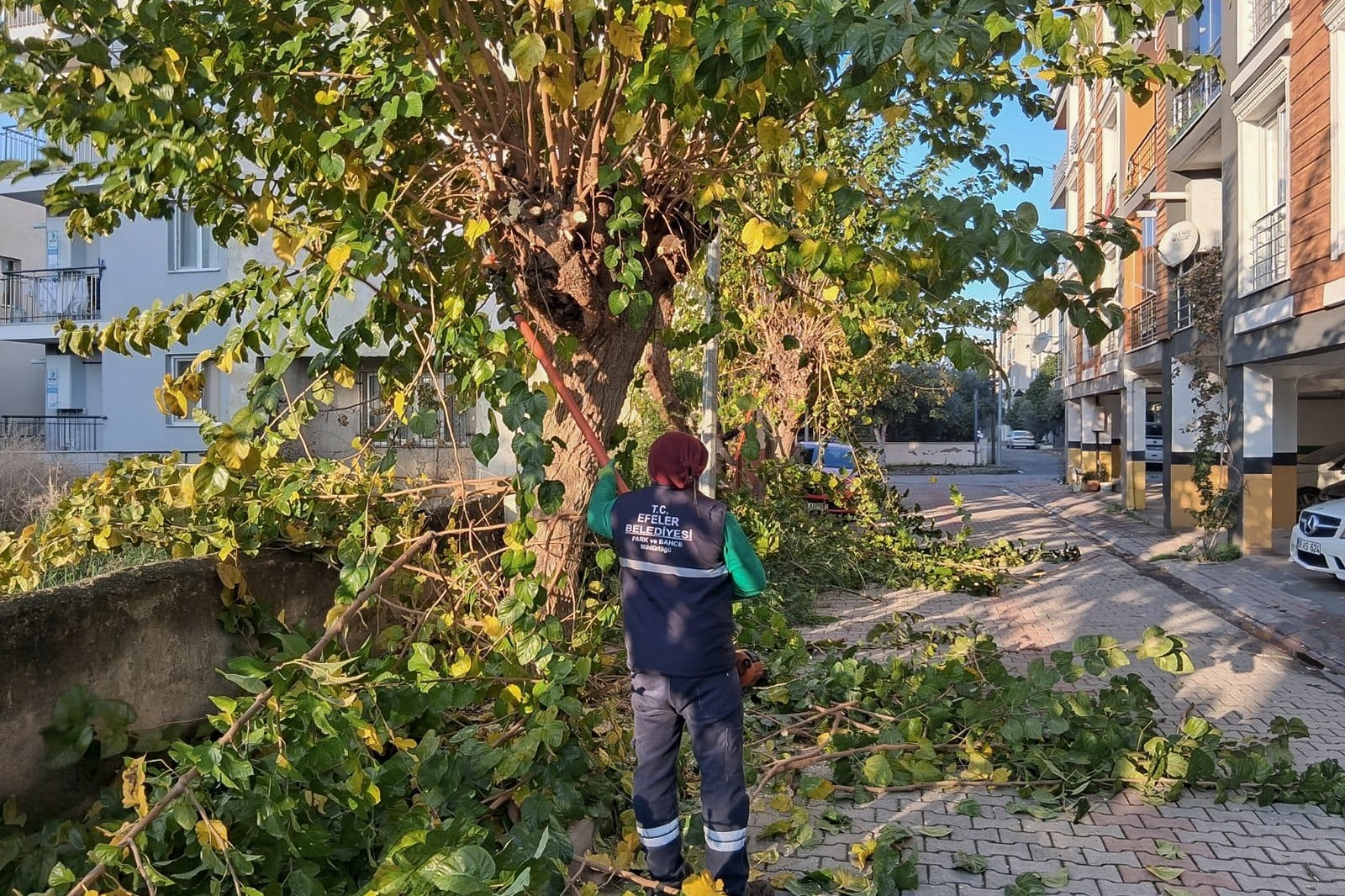 Whatsapp Image 2025 12 09 At 16.15.43