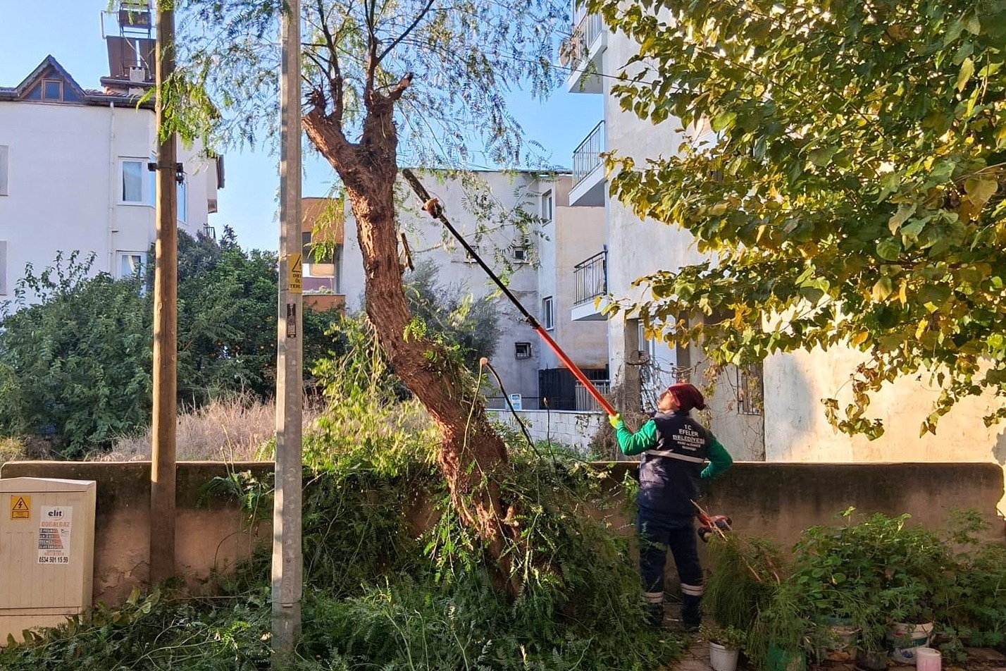 Whatsapp Image 2025 12 09 At 16.15.44