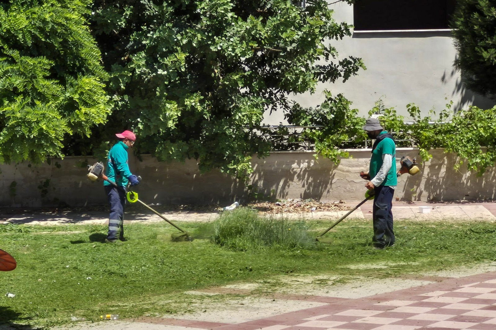 Whatsapp Image 2025 12 12 At 14.22.23