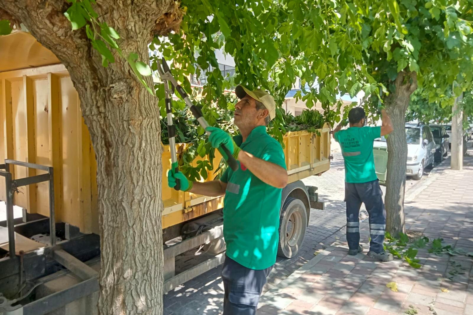 Whatsapp Image 2025 12 12 At 14.22.25 (3)