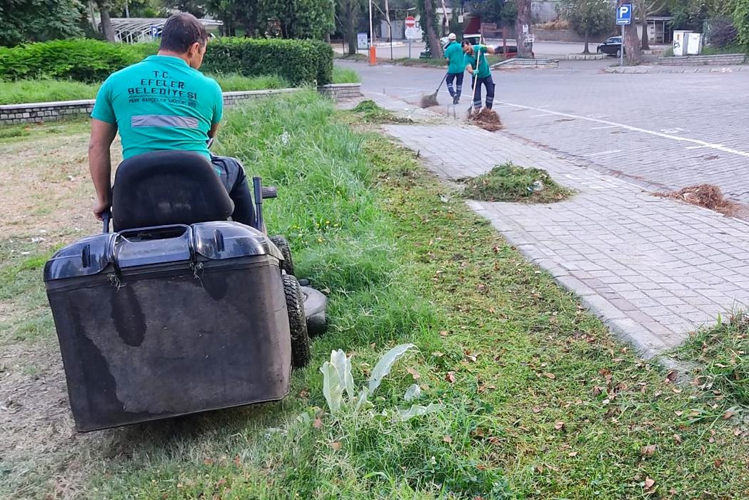 Whatsapp Image 2025 12 12 At 14.22.26