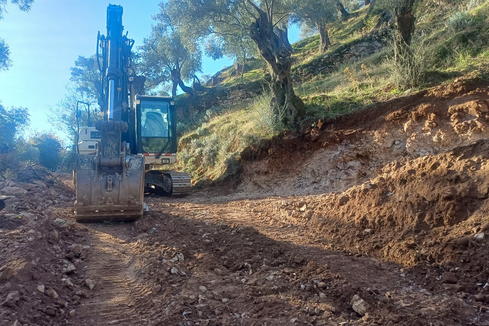 Whatsapp Image 2025 12 16 At 15.24.32 (2)