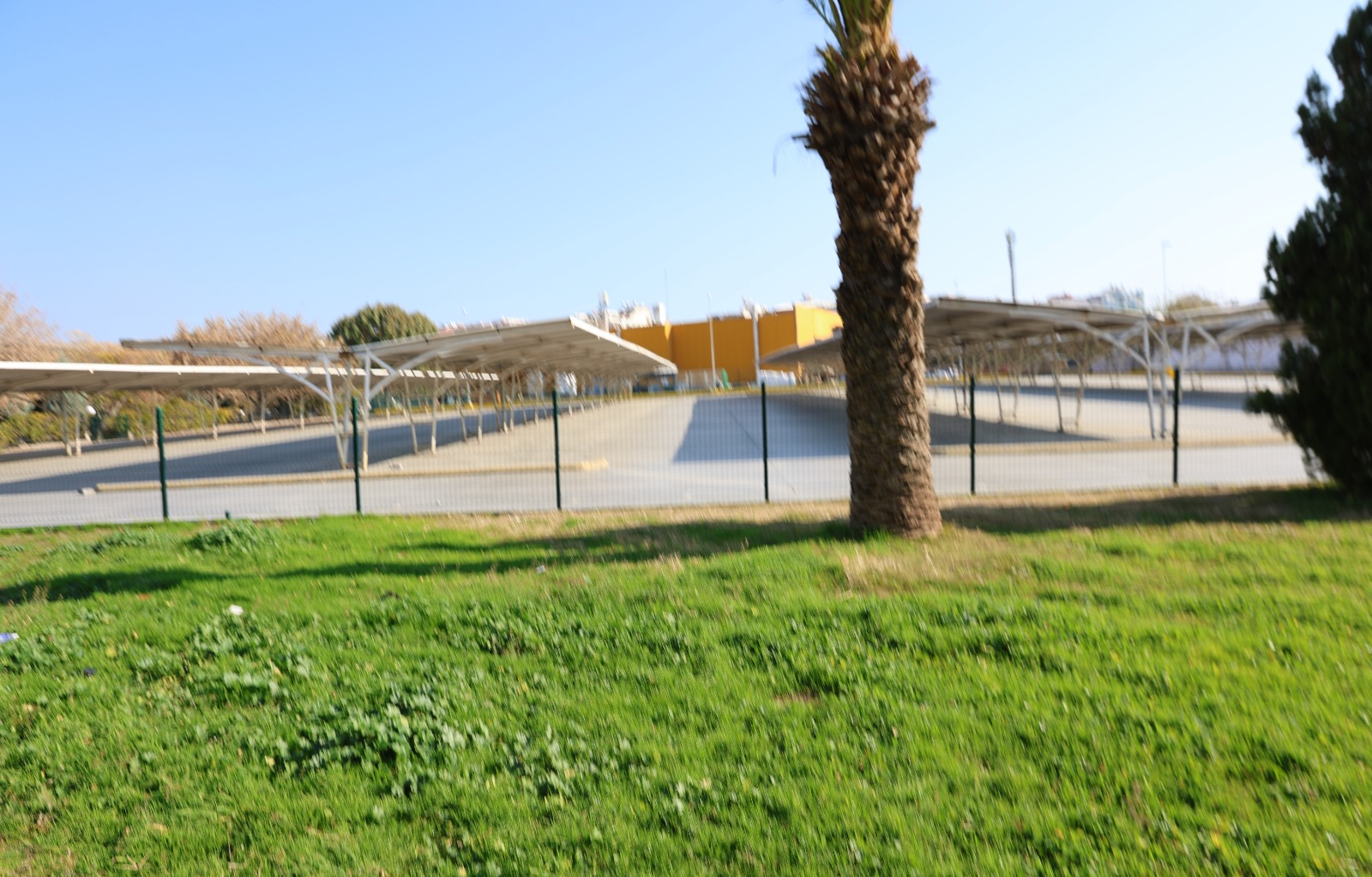 Whatsapp Image 2025 12 18 At 14.59.04 (4)