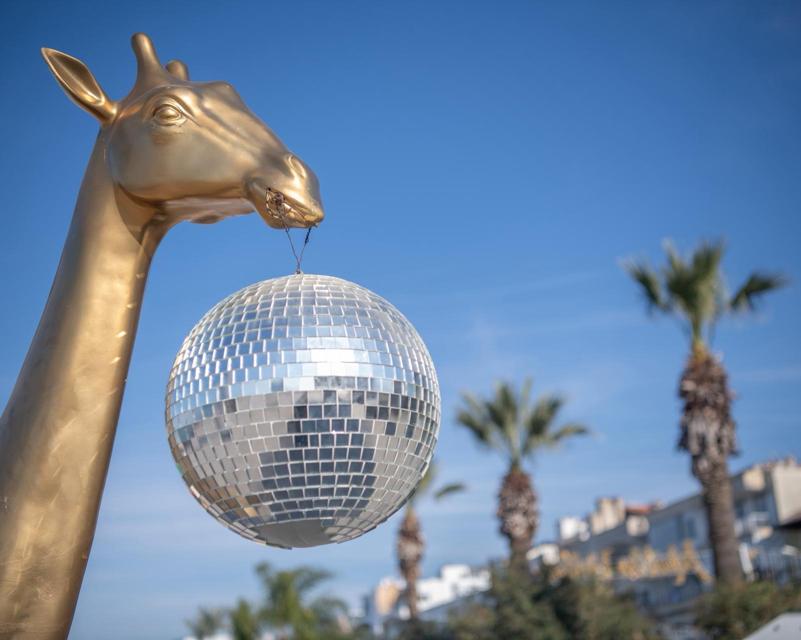 Whatsapp Image 2025 12 20 At 10.40.23 (1)