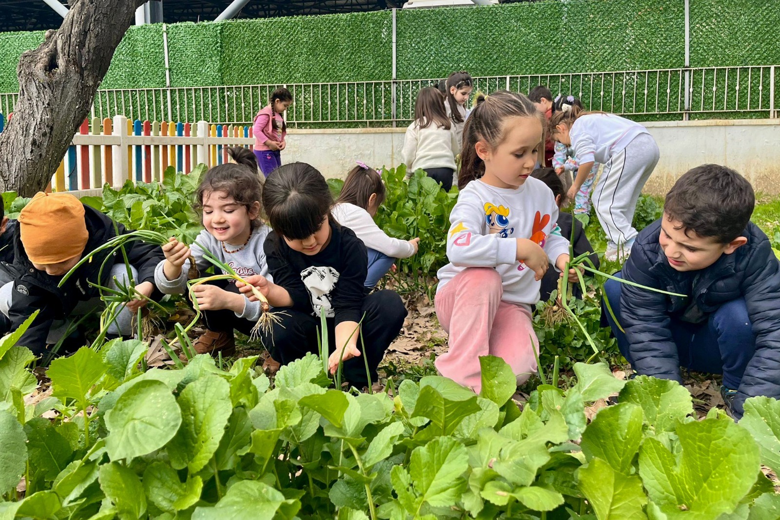 Whatsapp Image 2025 12 26 At 15.00.31 (2)