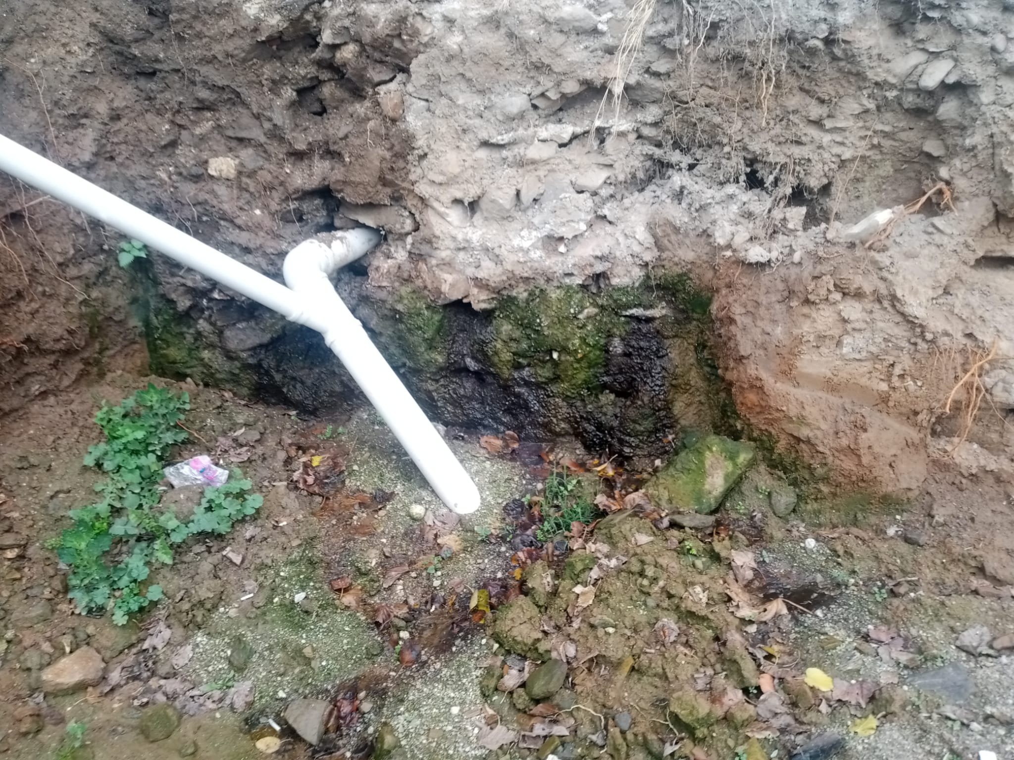 02286375 Cf72 4C5B 96Fd B20587F77B56