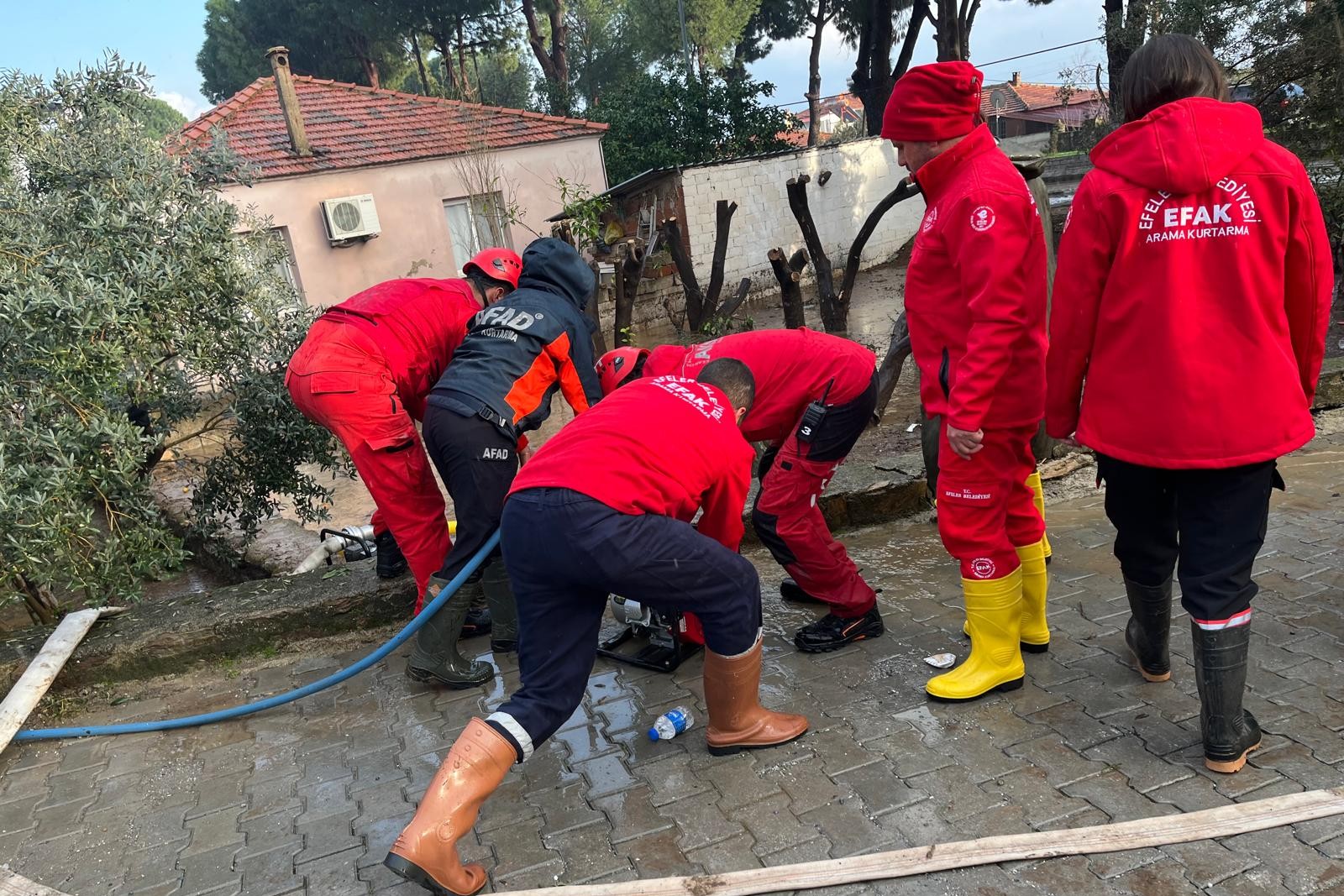 13D39Bfc Fa33 4276 B149 F90939845F78