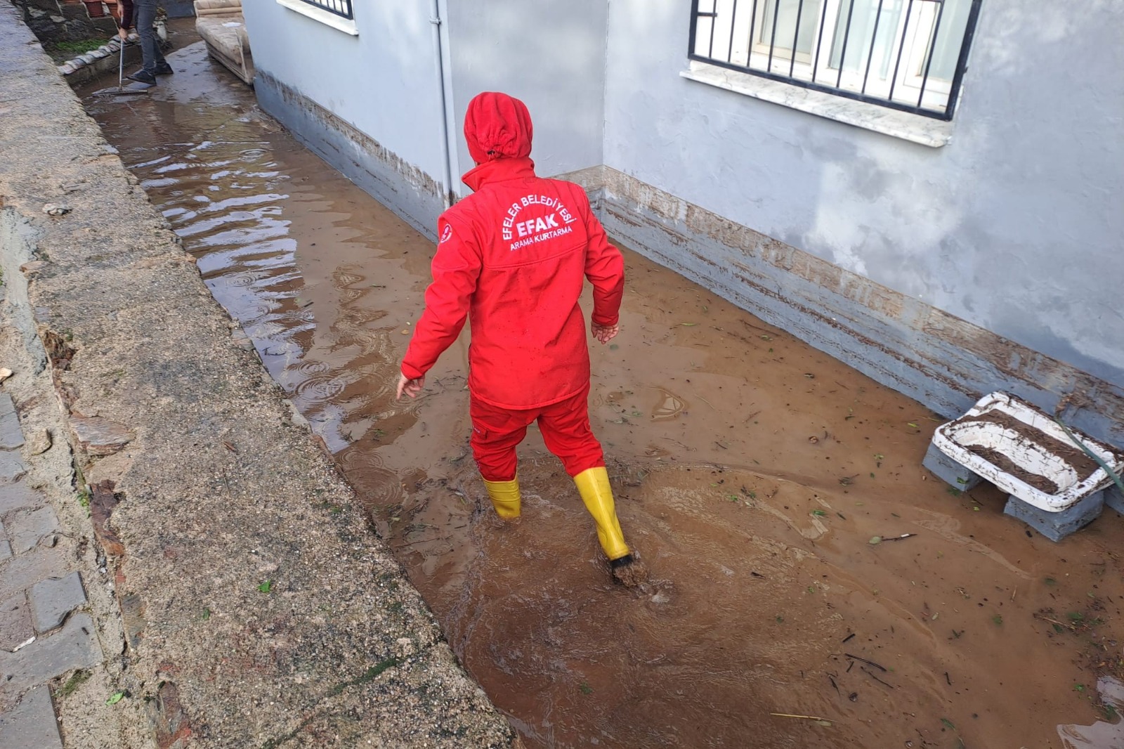 394Cab01 57Ae 44F4 9D33 C31114B3Ba0E