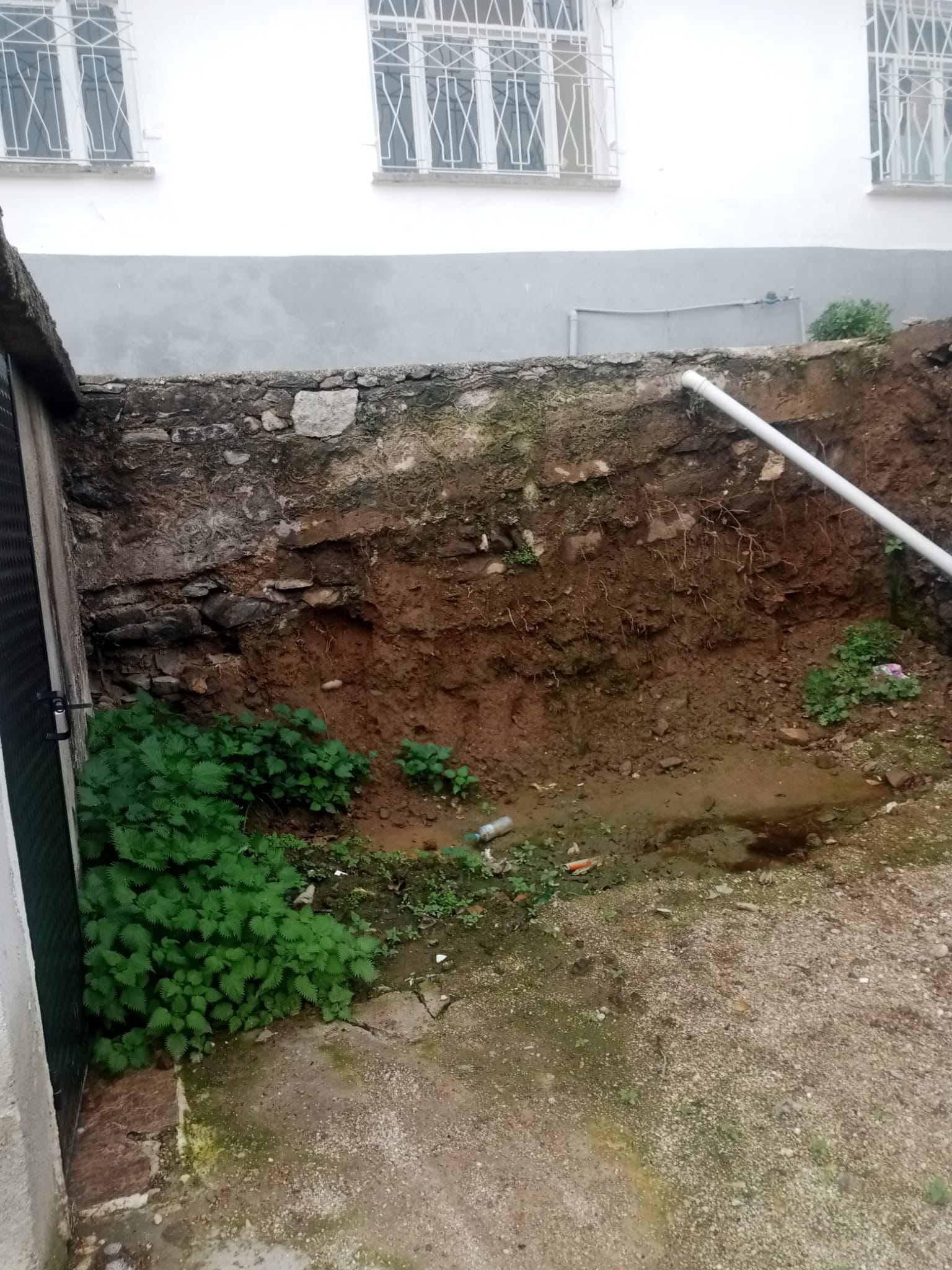 3C3224D9 747E 49E0 B00A 1C11E02824B6