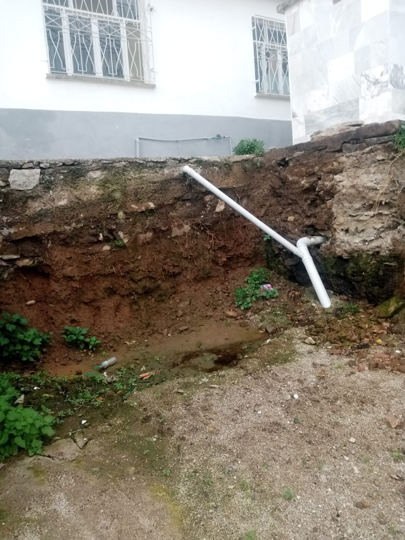 5C2B22A4 733B 497B A2B5 3B7D04Aa7677