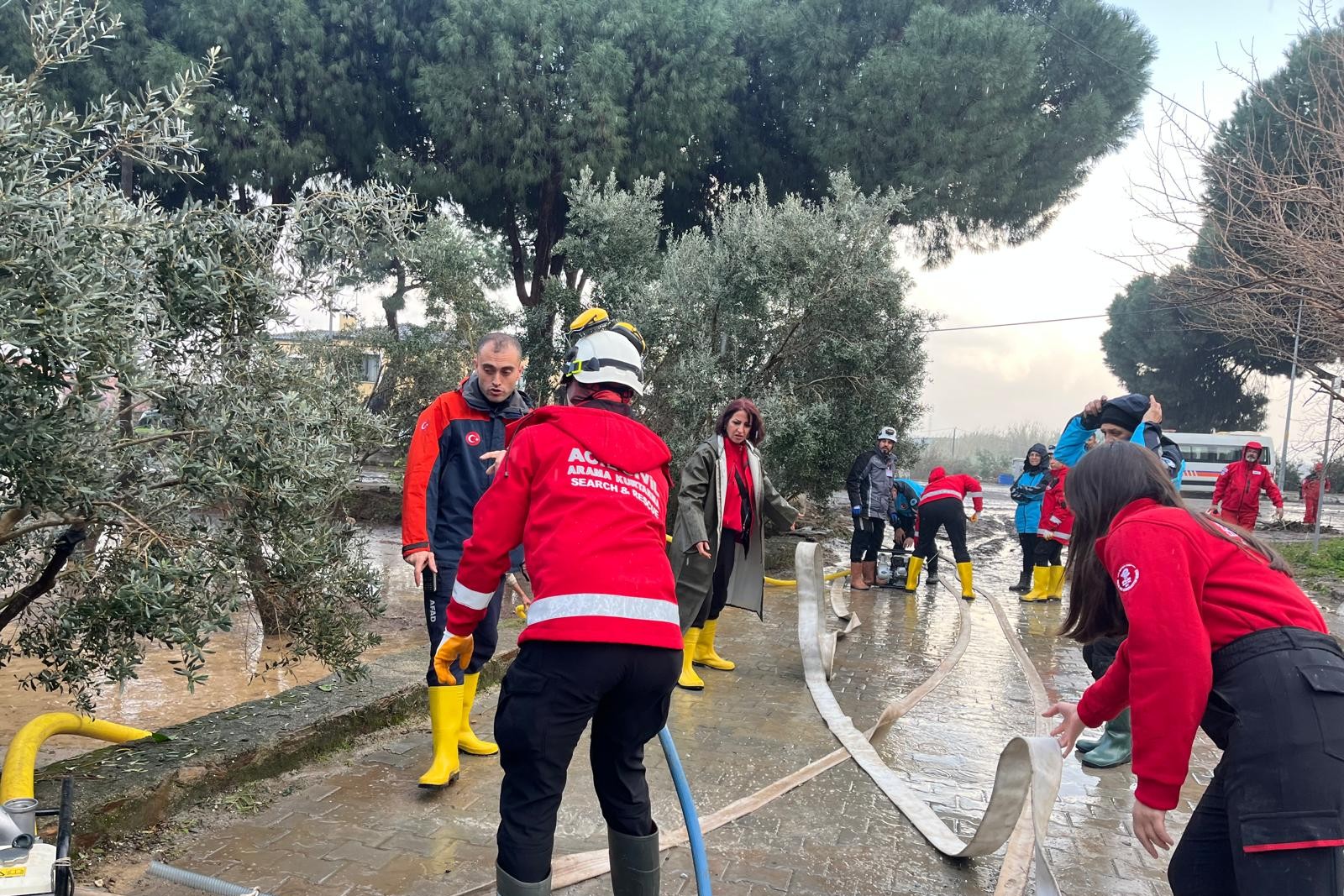 B157C66E 90Df 4Cc6 B1Ec 9161F92A9364