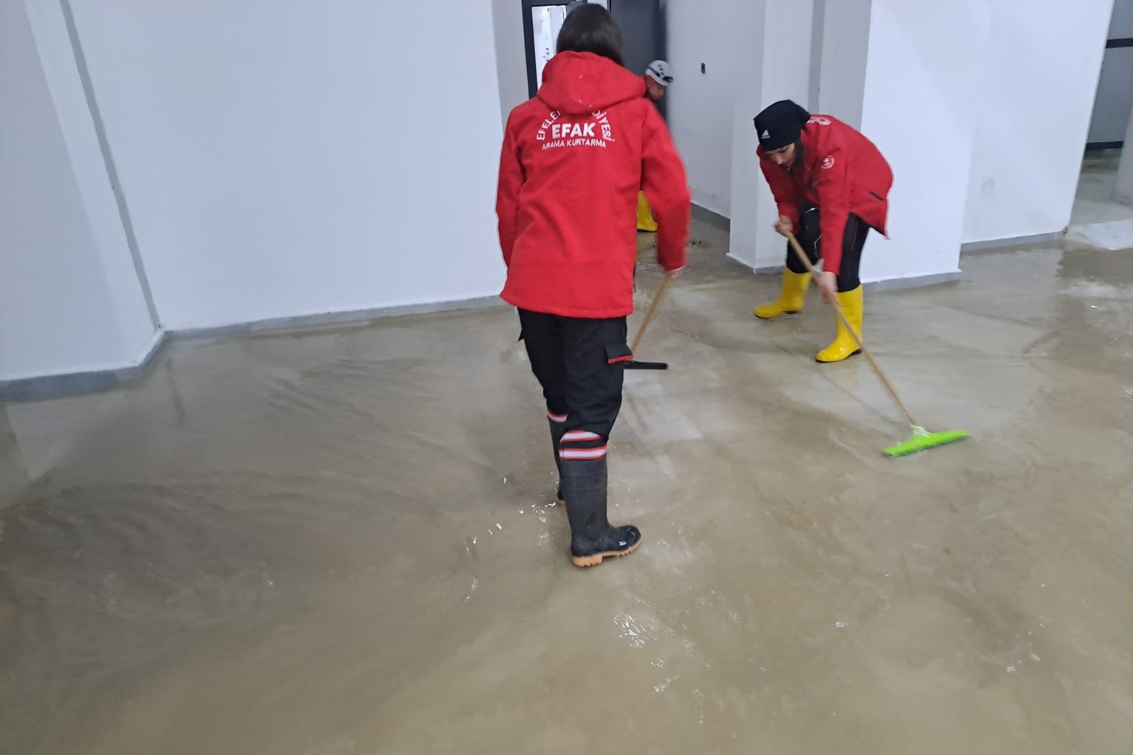 C0E776E7 50Ba 4B39 A748 66797F6F9C42