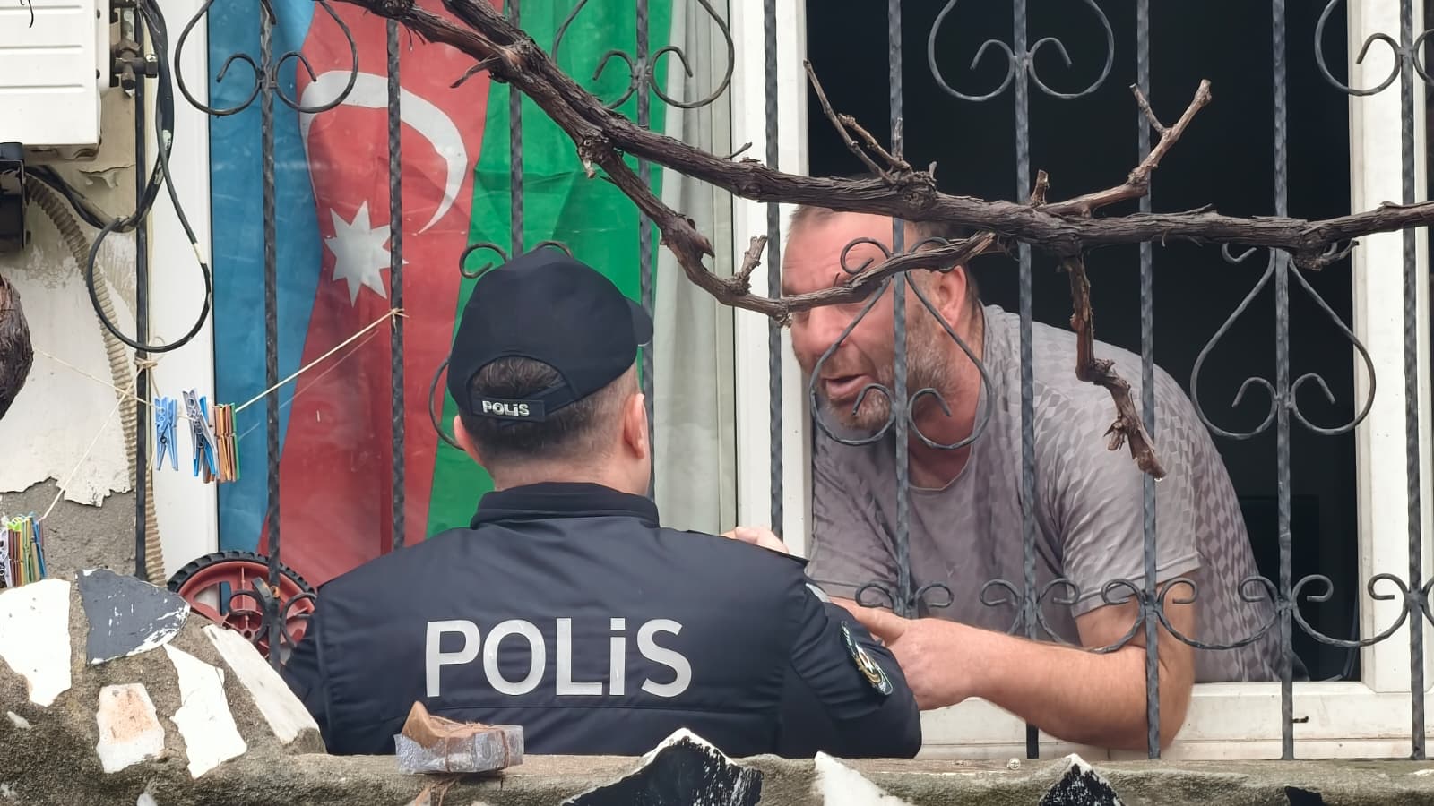 D1382555 F1B6 4Dd3 9B69 Bf06E054F572