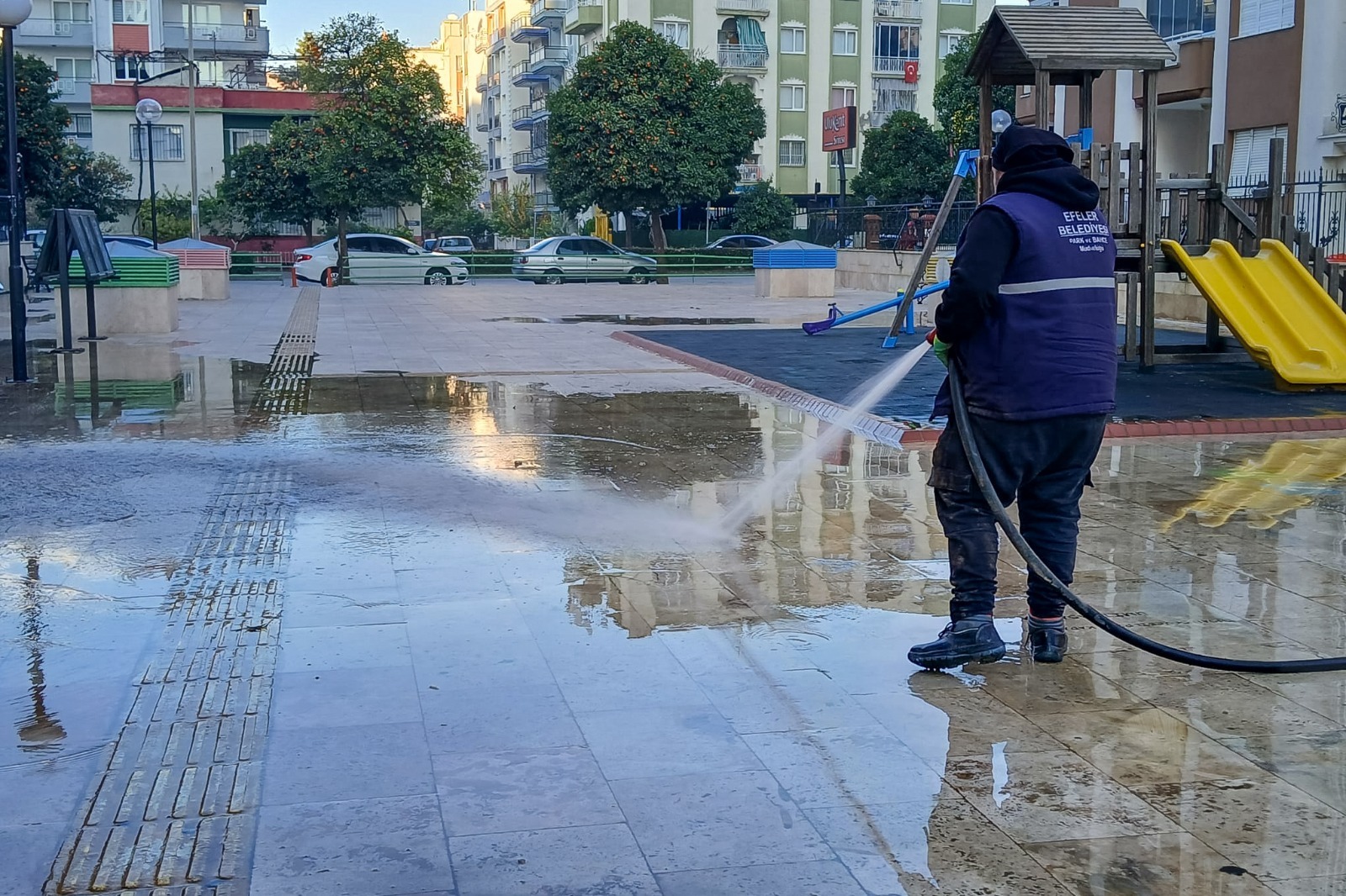 D8903406 Ff02 49E9 B656 B8987F79B7Ad