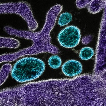 G Ifem H W I A Ar T O M