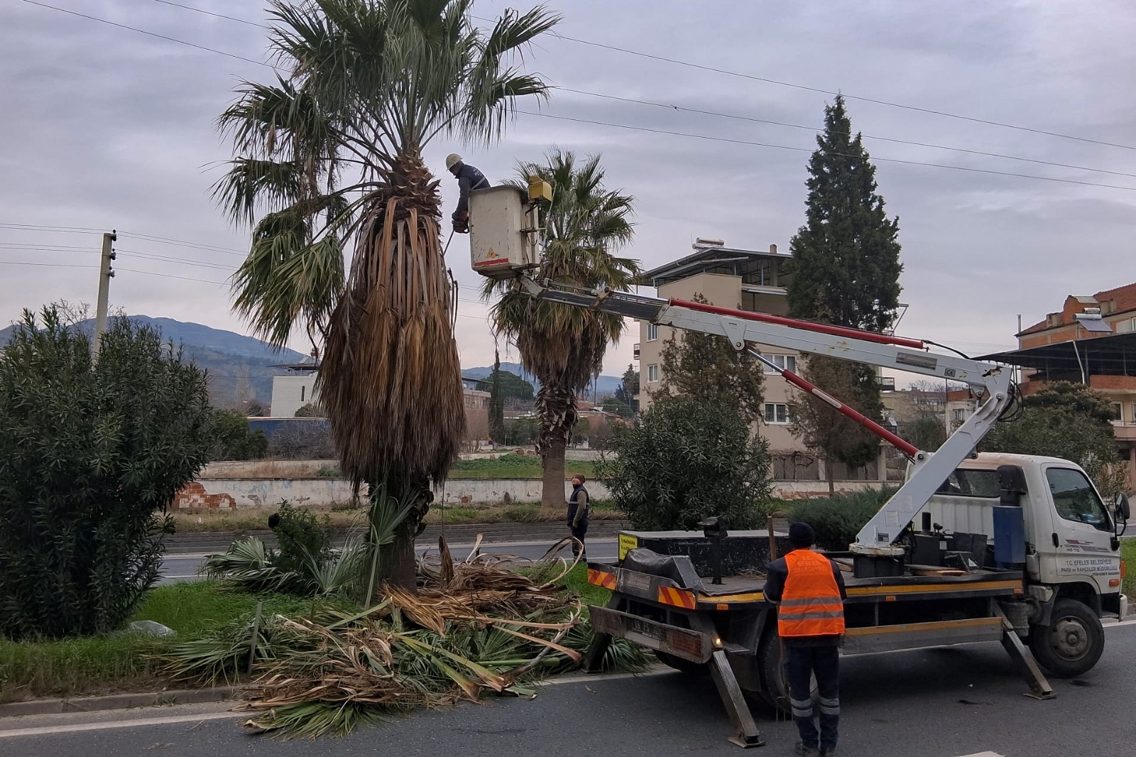 I M G 20260121 W A0020