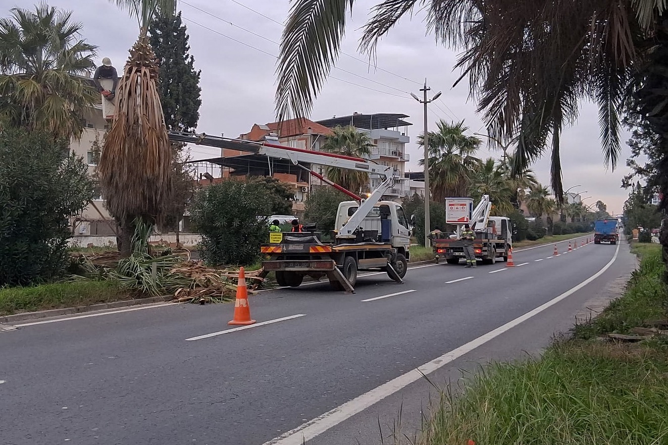 I M G 20260121 W A0021