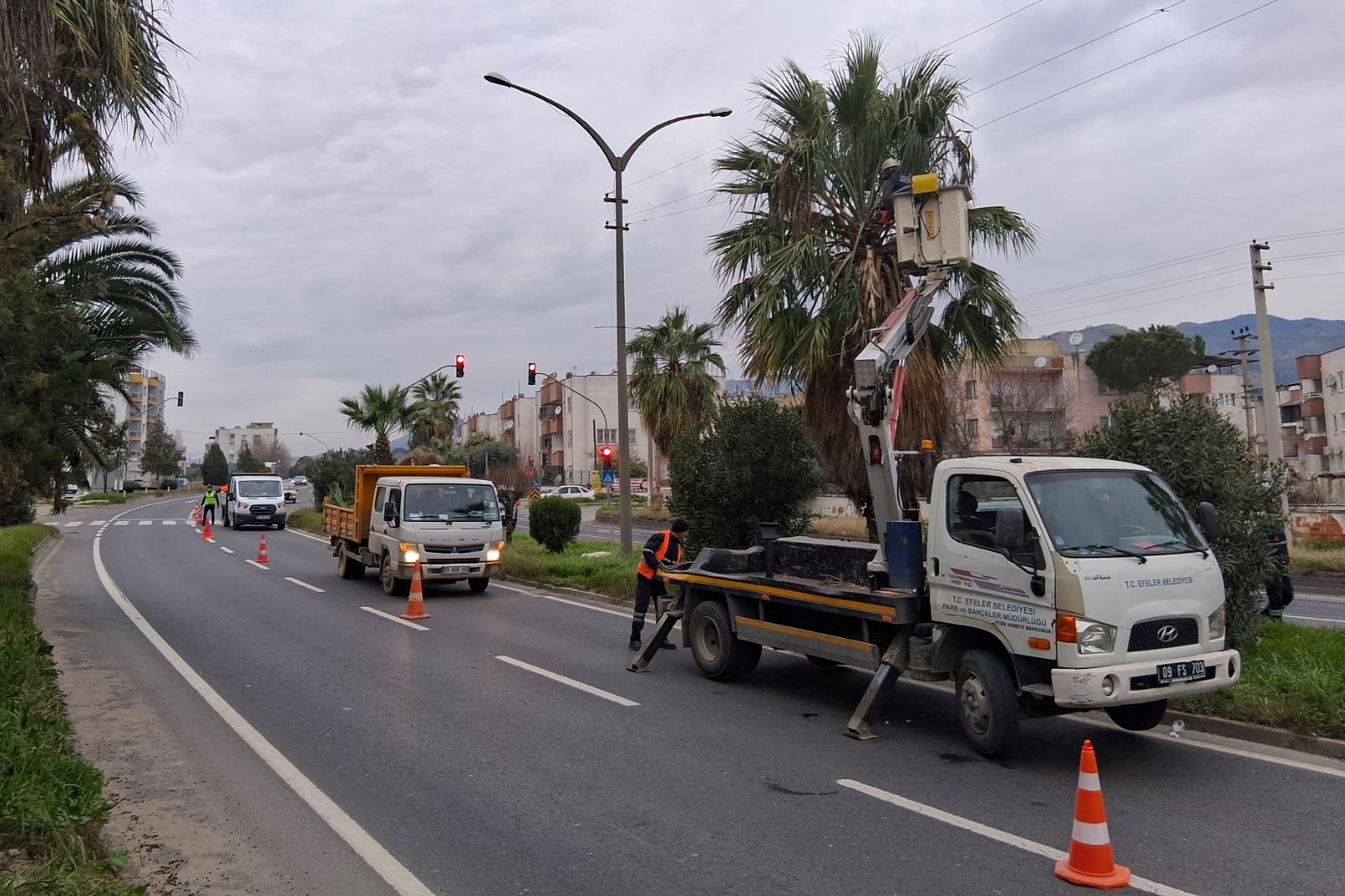 I M G 20260121 W A0022