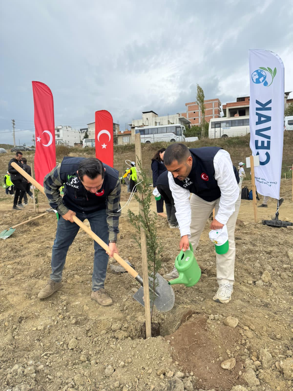 I M G 20260123 W A0004