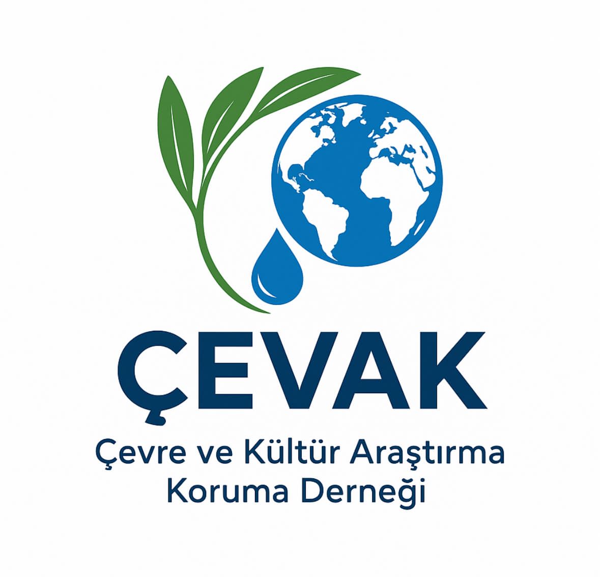 I M G 20260123 W A0005