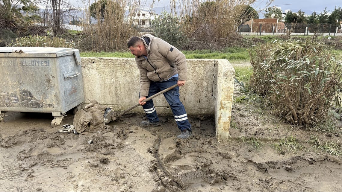 I M G 20260127 W A0002