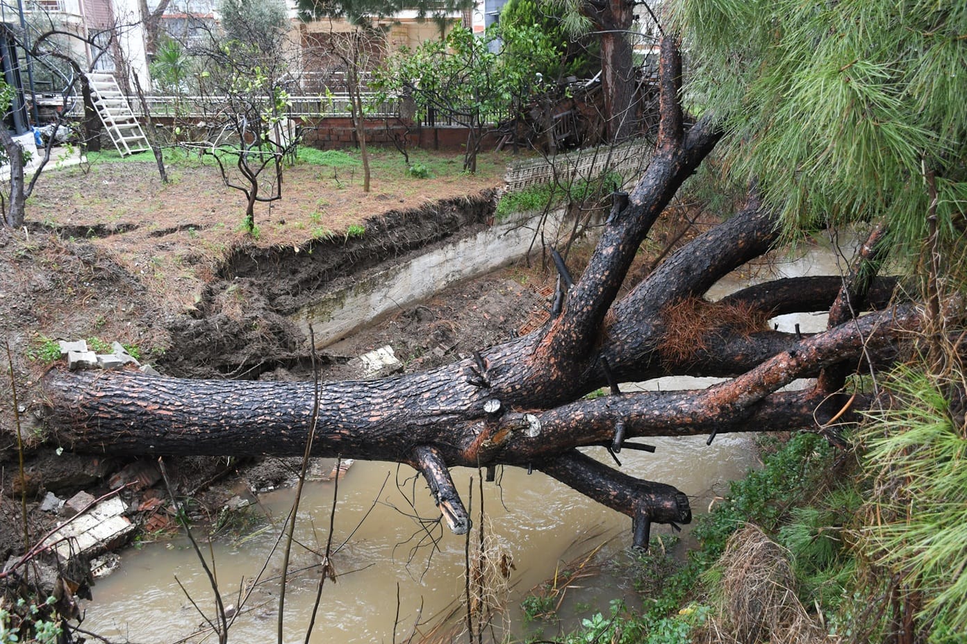 I M G 20260127 W A0061