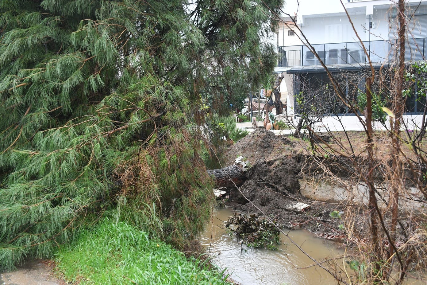 I M G 20260127 W A0062