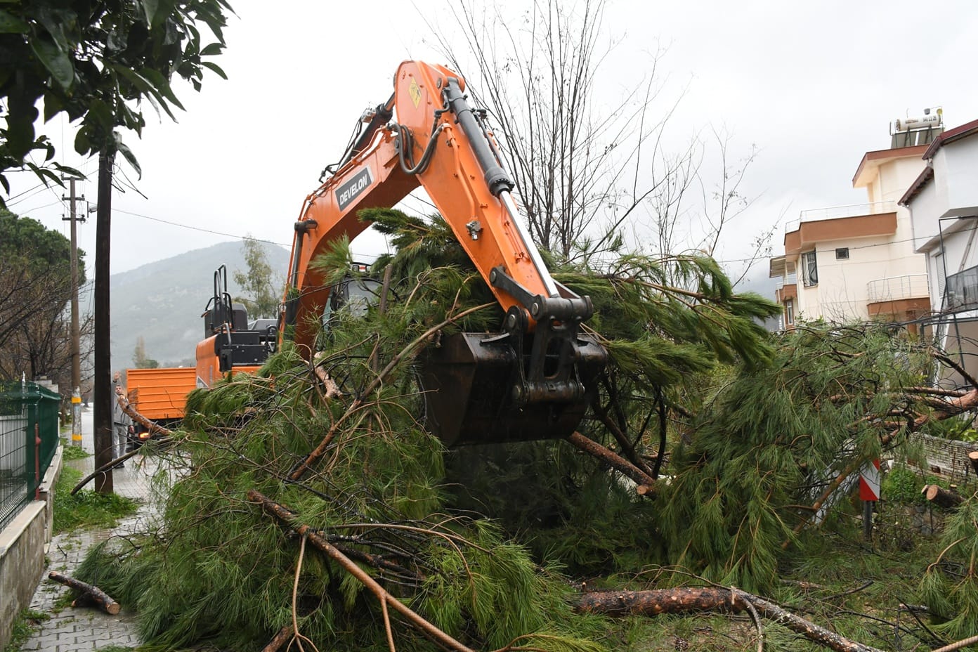 I M G 20260127 W A0064