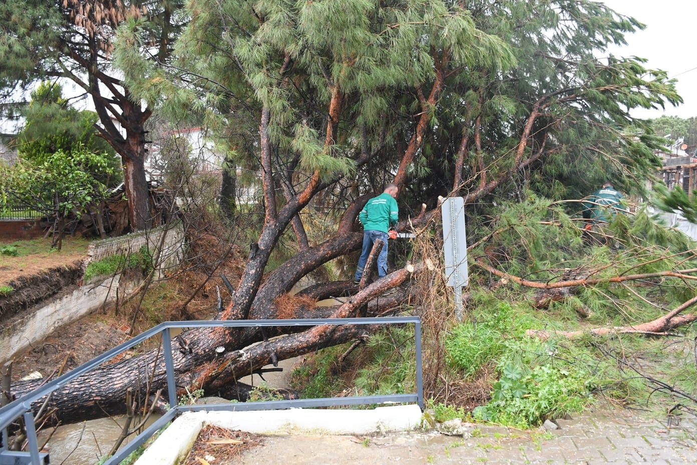 I M G 20260127 W A0065