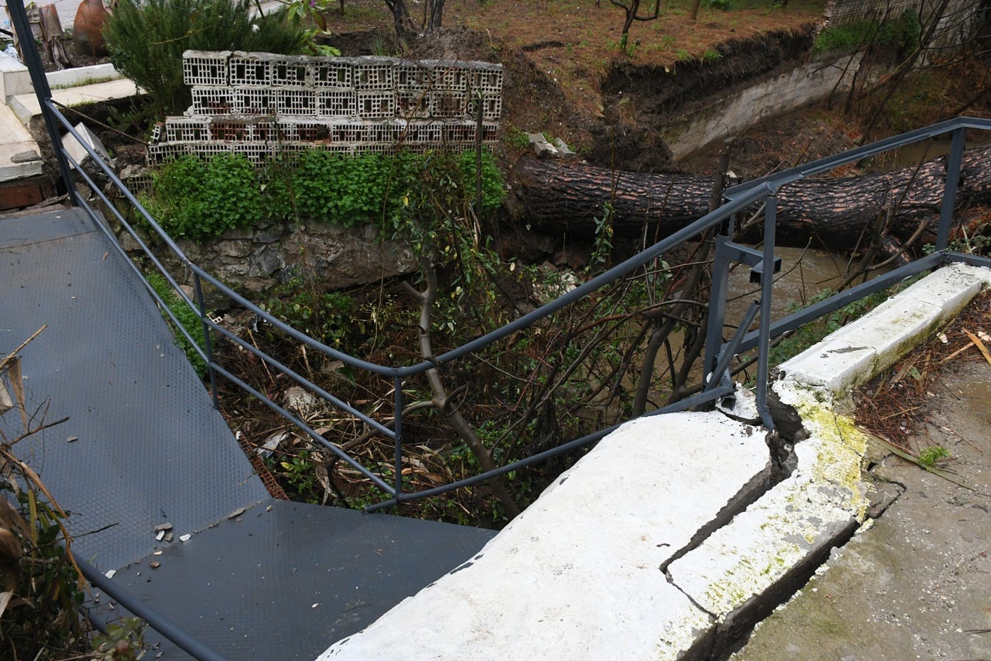 I M G 20260127 W A0066