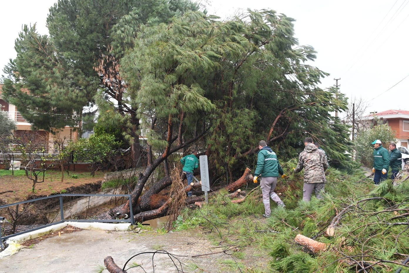 I M G 20260127 W A0067